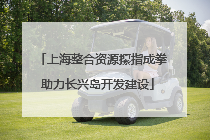 上海整合资源攥指成拳助力长兴岛开发建设
